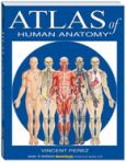 Barchart Atlas Of Human Anatomy