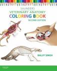 Image of Veterinary Anatomy Flash Cards