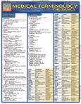 Barchart Medical Terminology: The Basics