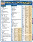 Barchart Medical Terminology: The Body