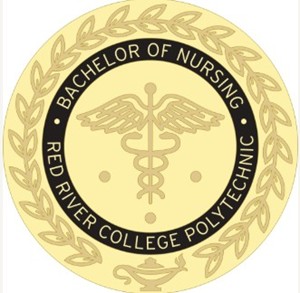 Lapel Pin RRC Polytech Nursing - main view