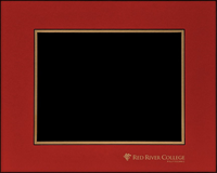 Image of FRAME MATT INSERT w/ RRC POLYTECH -  1