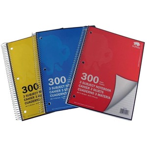 Notebook 3 Subject 300 Pages - main view
